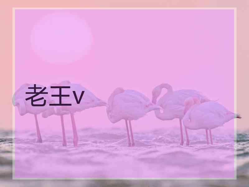 老王v 老王v