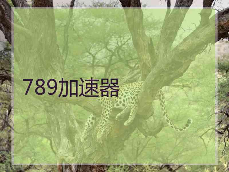 789加速器 789加速器