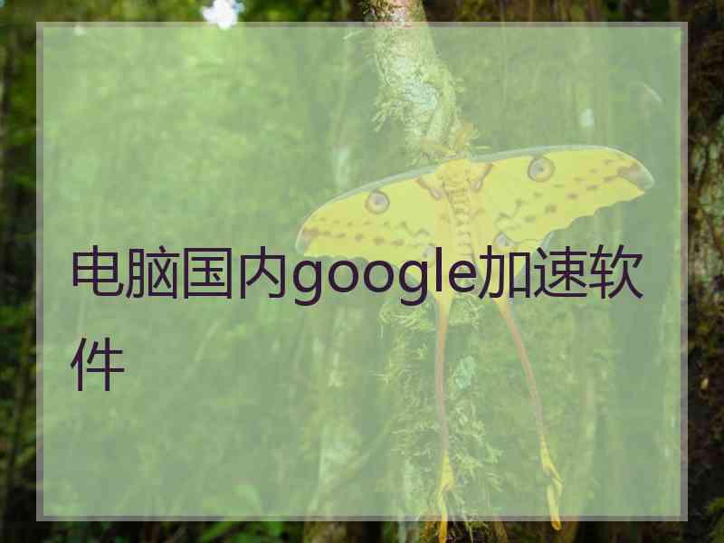 电脑国内google加速软件 电脑国内google加速软件