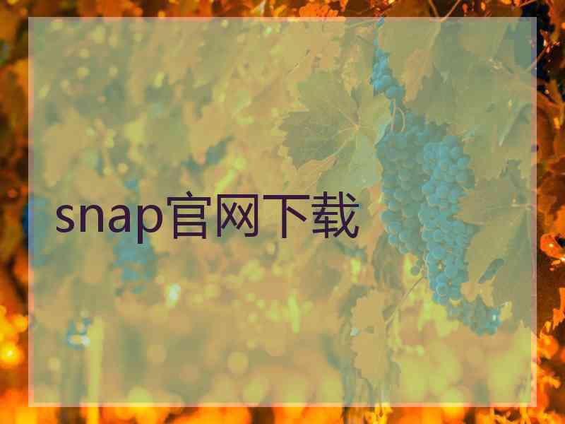 snap官网下载