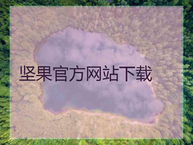 坚果官方网站下载