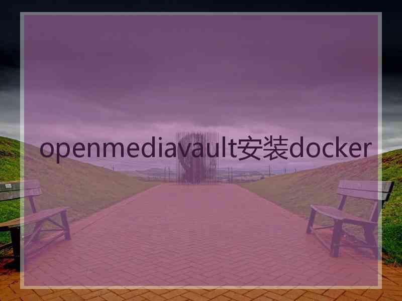 openmediavault安装docker