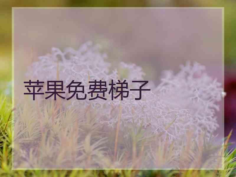 苹果免费梯子
