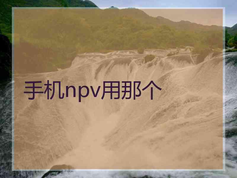 手机npv用那个 手机npv用那个