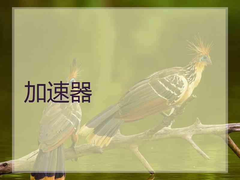 加速器