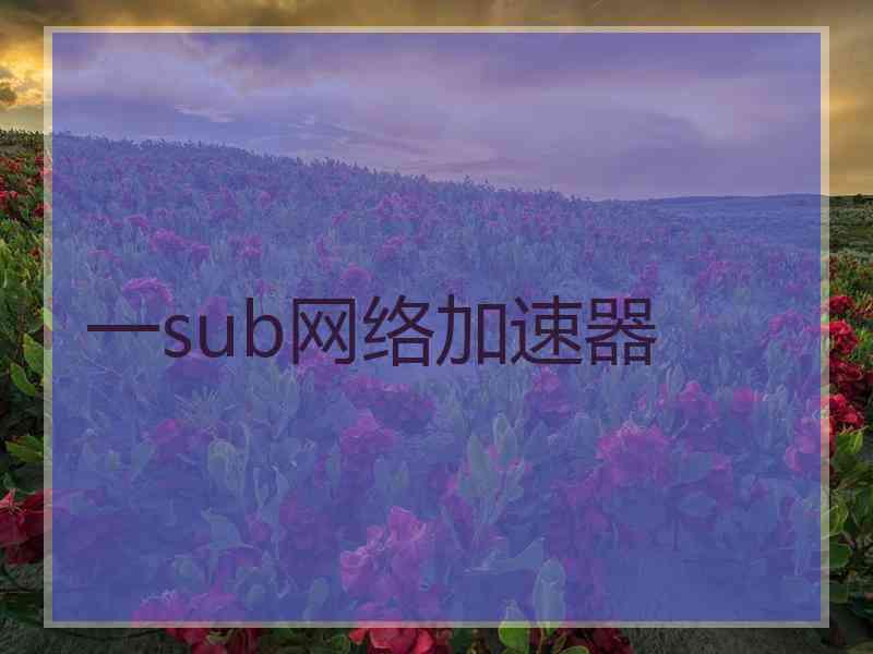 一sub网络加速器 一sub网络加速器