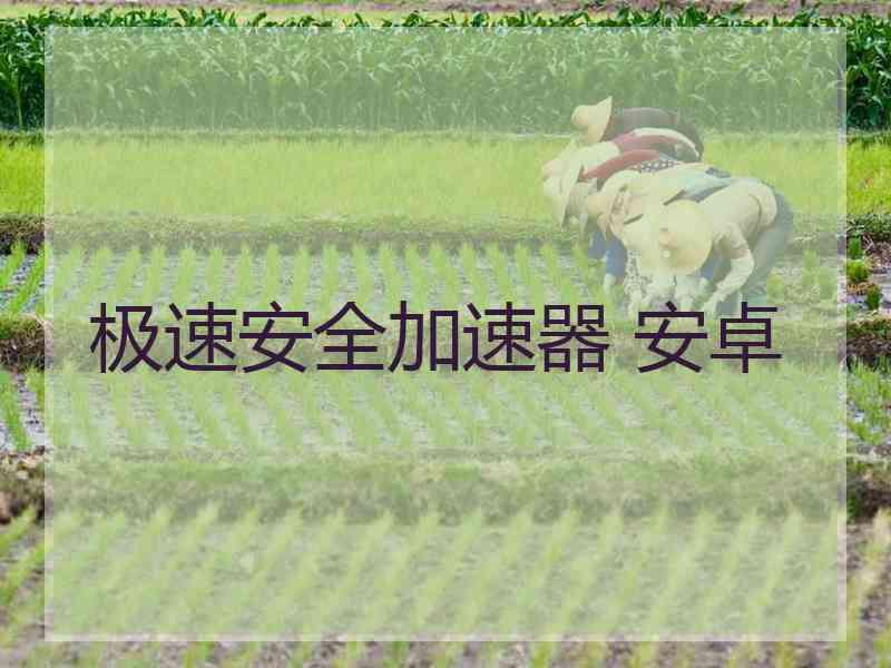 极速安全加速器 安卓 极速安全加速器 安卓