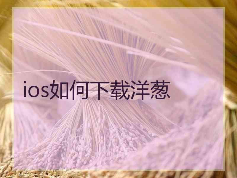 ios如何下载洋葱 ios如何下载洋葱
