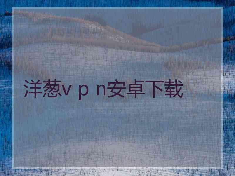 洋葱v p n安卓下载