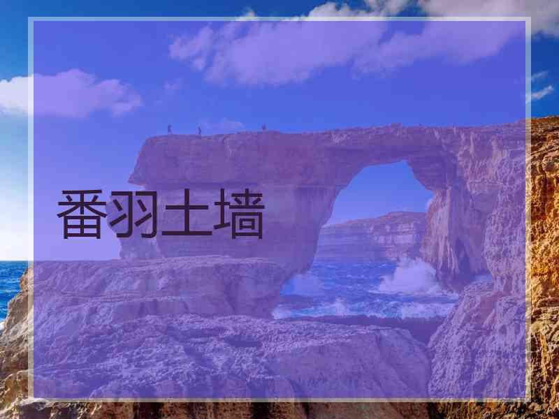 番羽土墙