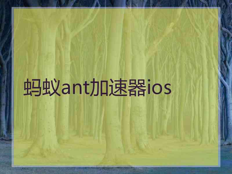 蚂蚁ant加速器ios
