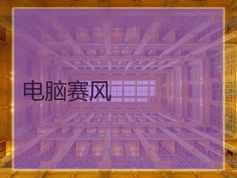 电脑赛风