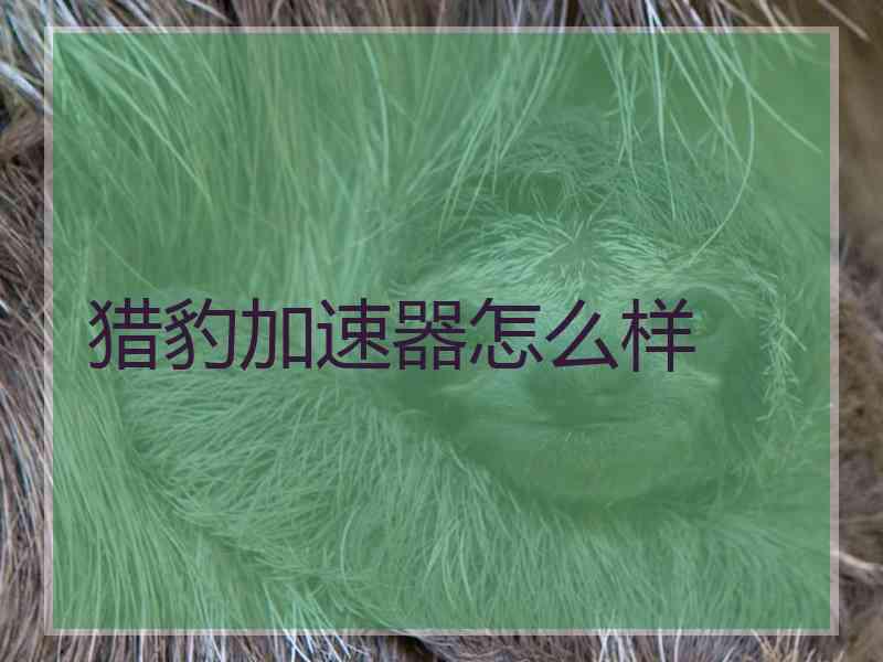 猎豹加速器怎么样
