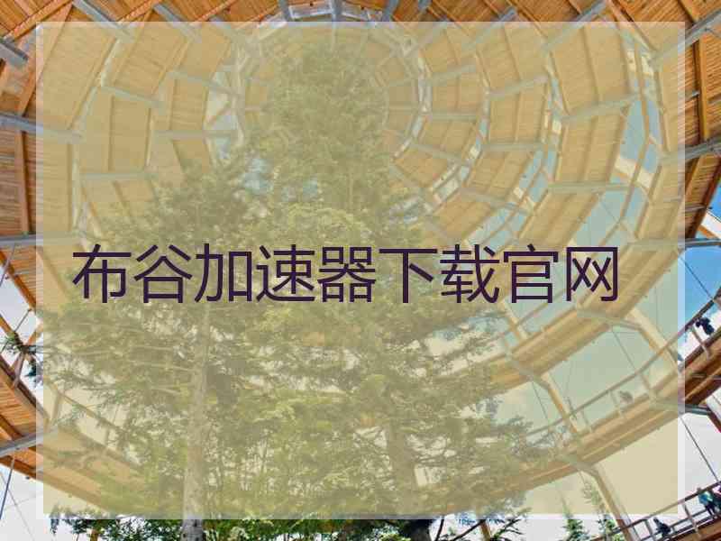 布谷加速器下载官网